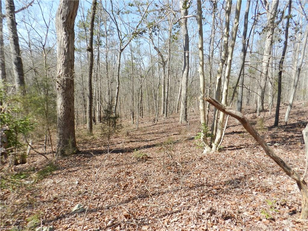 0 Regan Road Lexington, NC 27292 - Photo 8 of 16 Gallery Image 8
