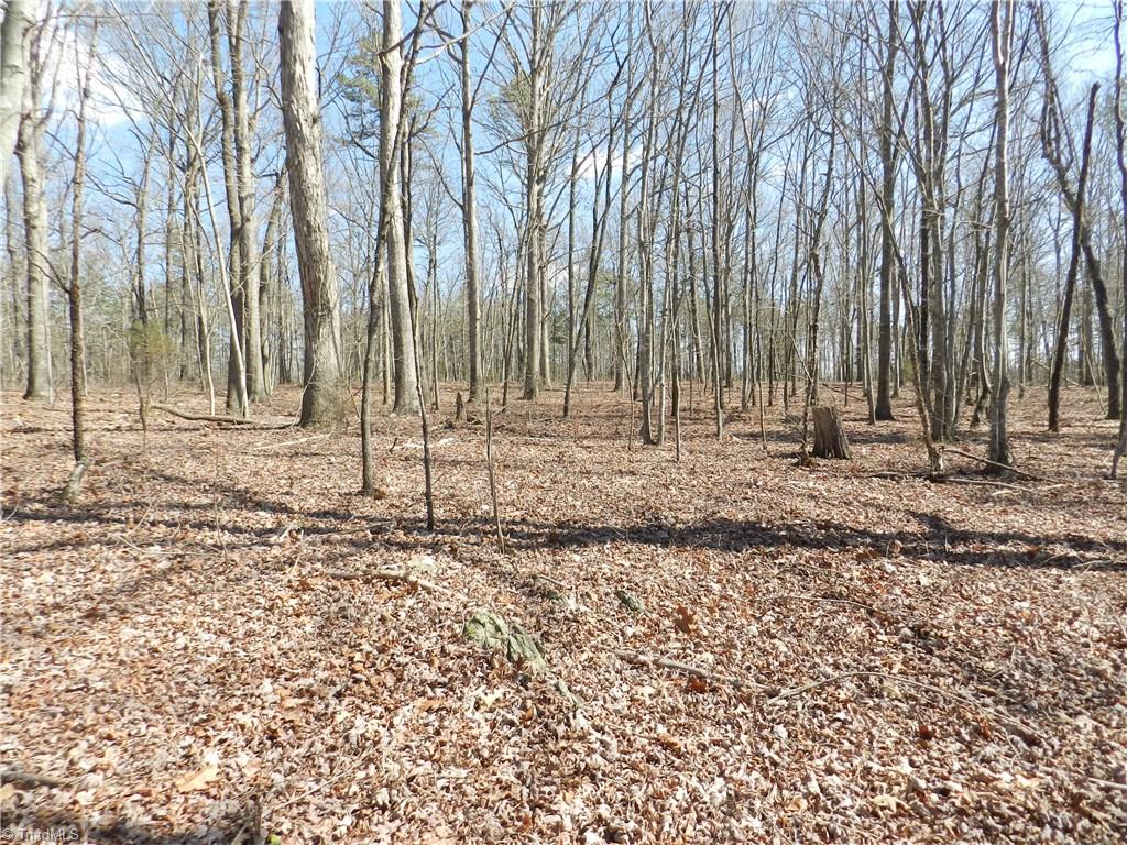 0 Regan Road Lexington, NC 27292 - Photo 10 of 16 Gallery Image 10