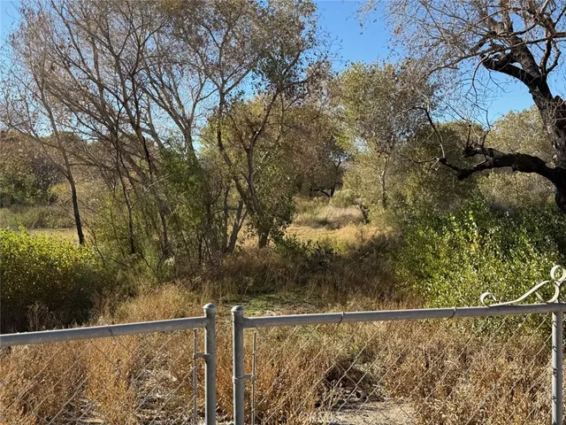 a view of a yard and mountain view