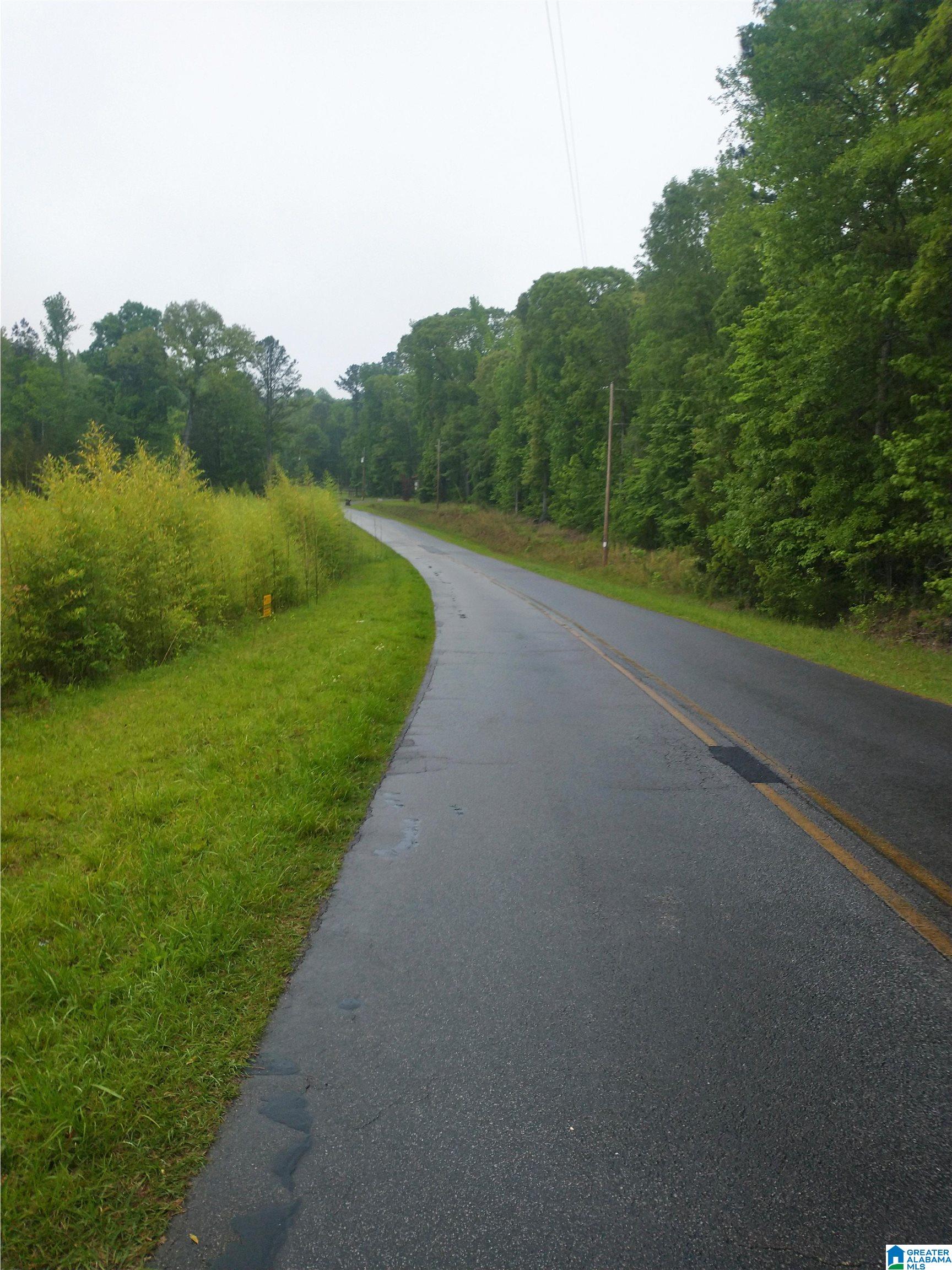 0 Gardner Road, Unit RAW LAND Dadeville, AL 36853 - Photo 1 of 4