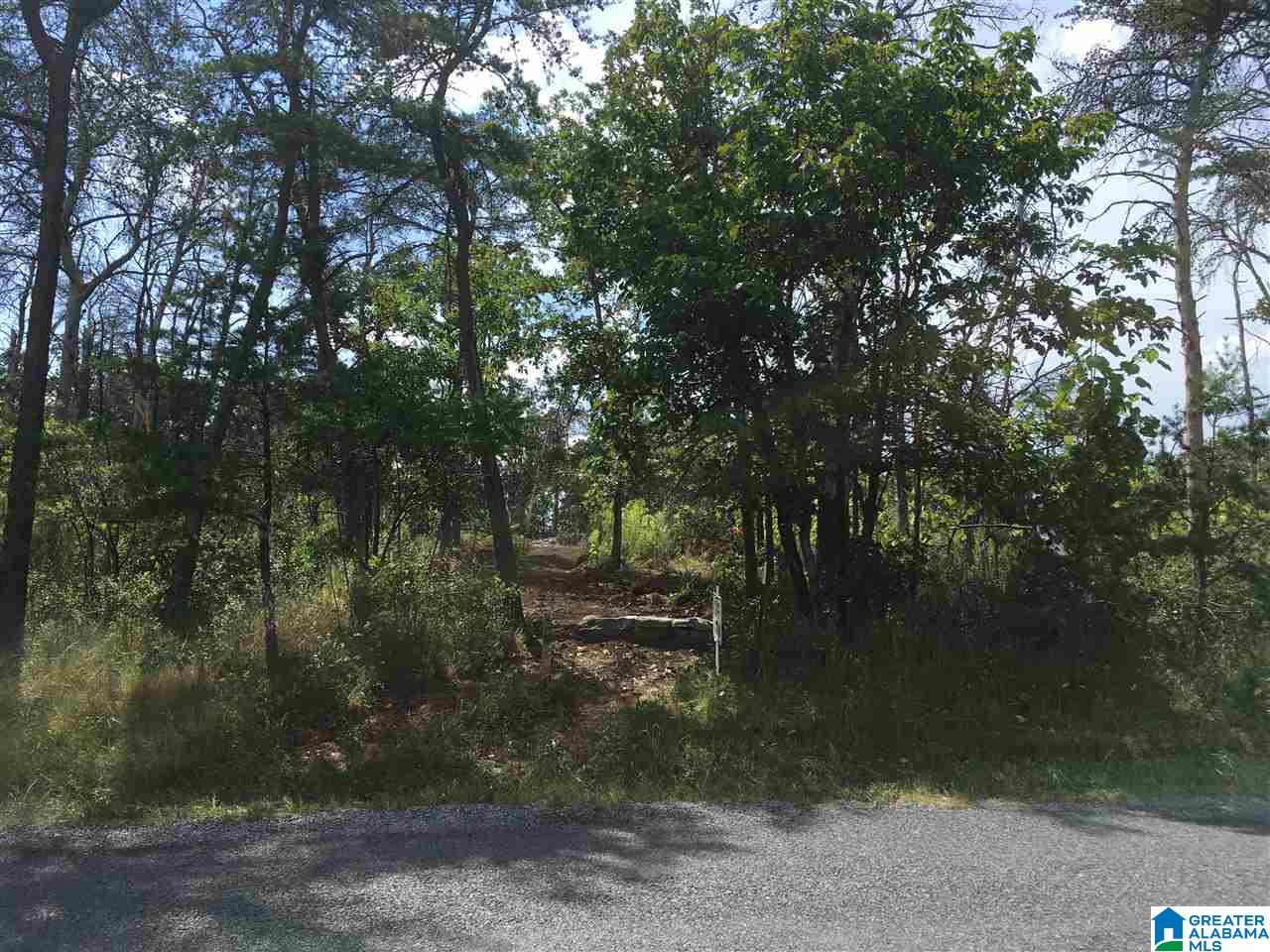 89 North County Road Mentone, AL 35984 - Photo 3 of 18