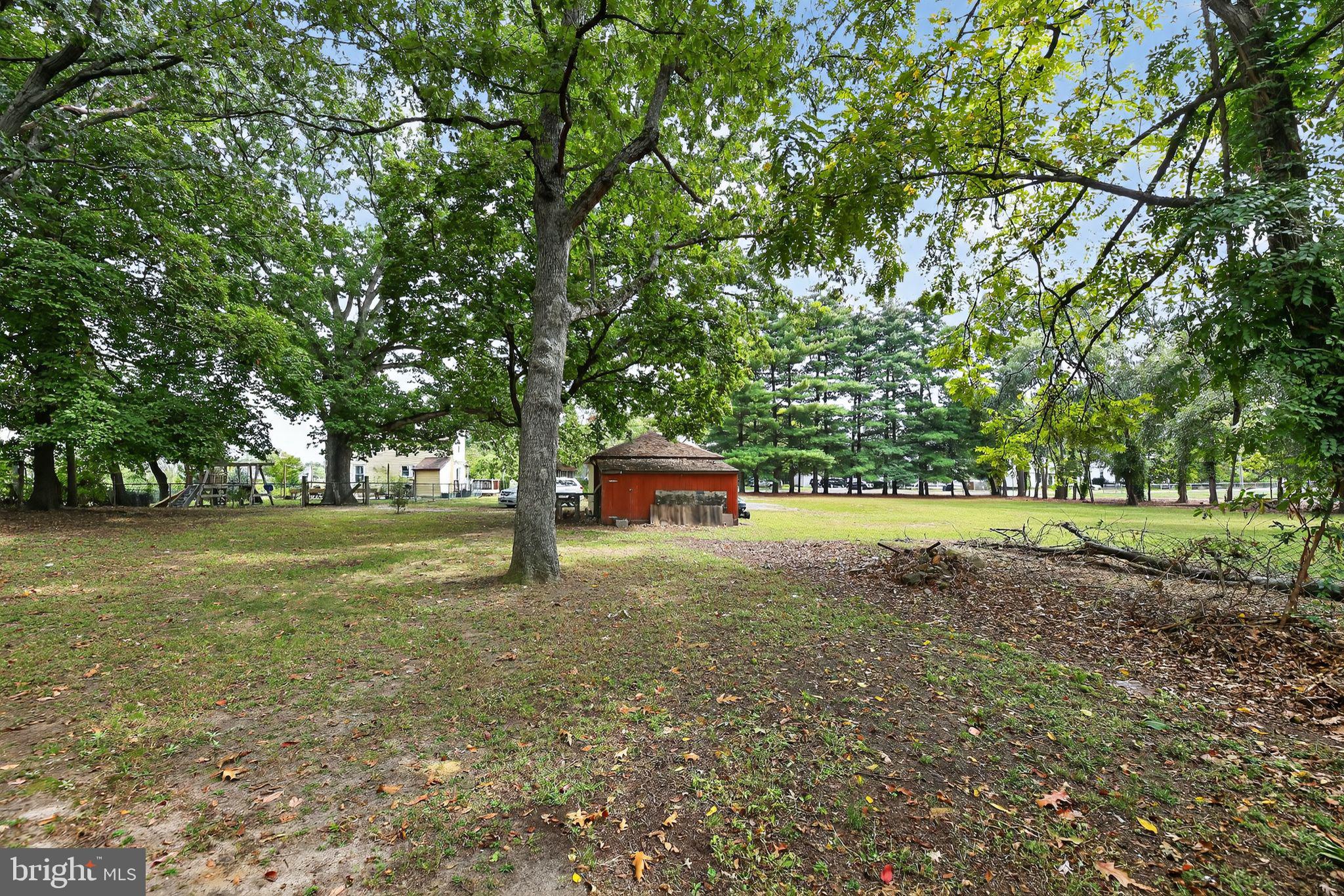 1115 Bridgeboro Road Beverly, NJ 08010 - Photo 38 of 39 a tall tree in middle of green field