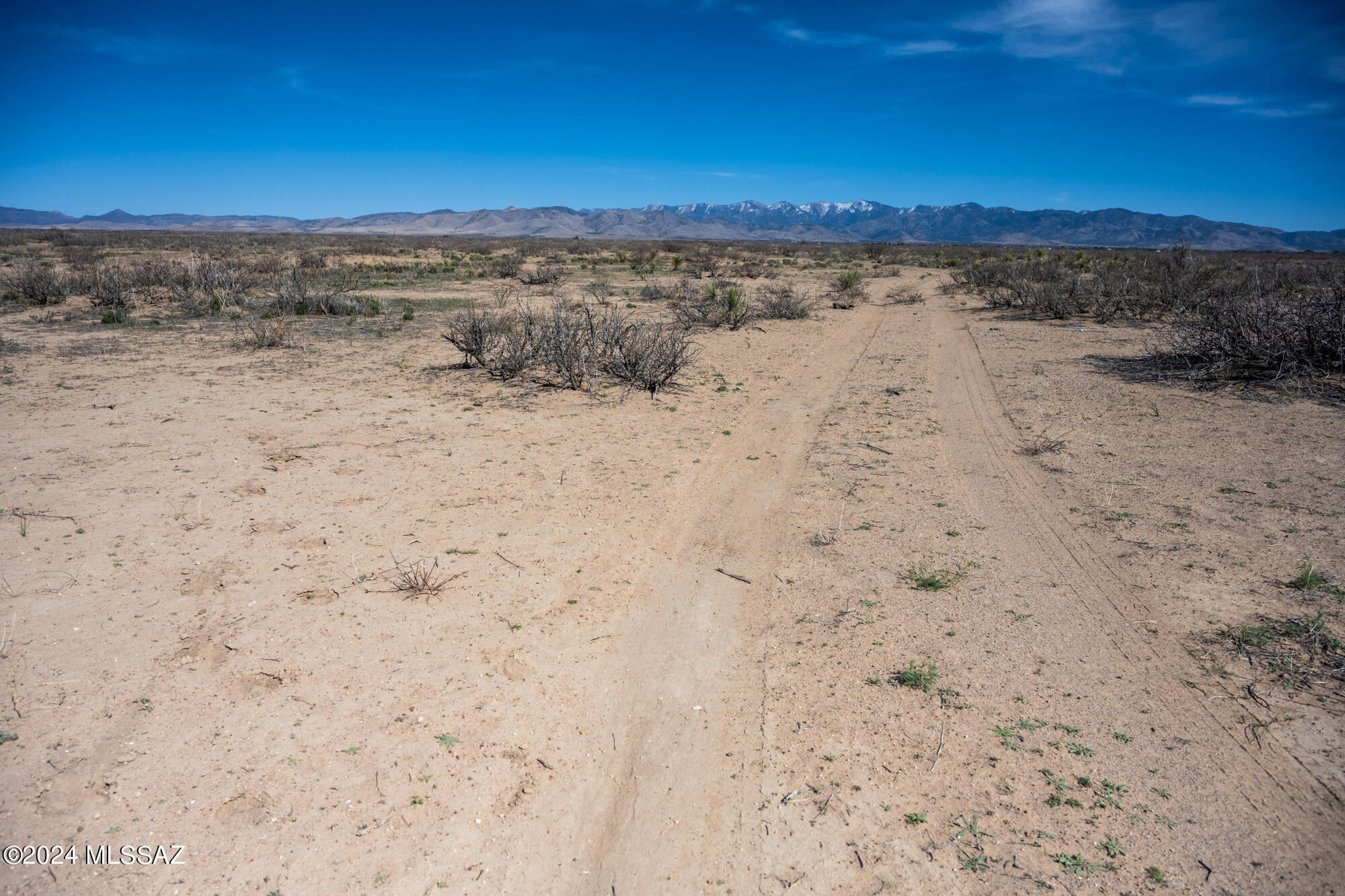 5-acres South Catclaw Road, Unit 6 Pearce, AZ 85625 - Photo 12 of 17