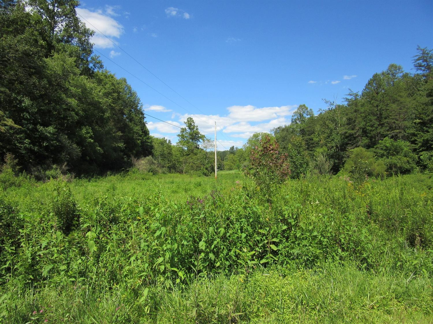 1111 Wells Road Corbin, KY 40701 - Photo 2 of 11 Photo 2