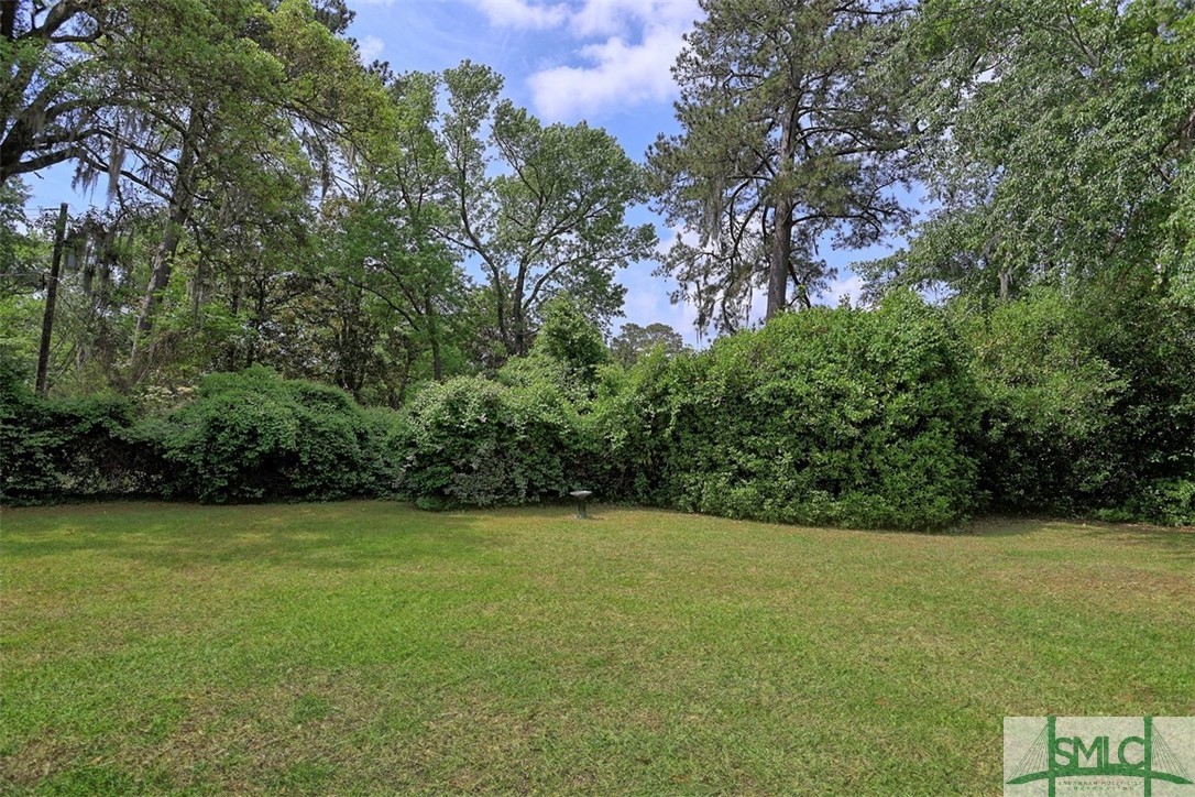 121 Steerforth Road Savannah, GA 31410 - Photo 36 of 50