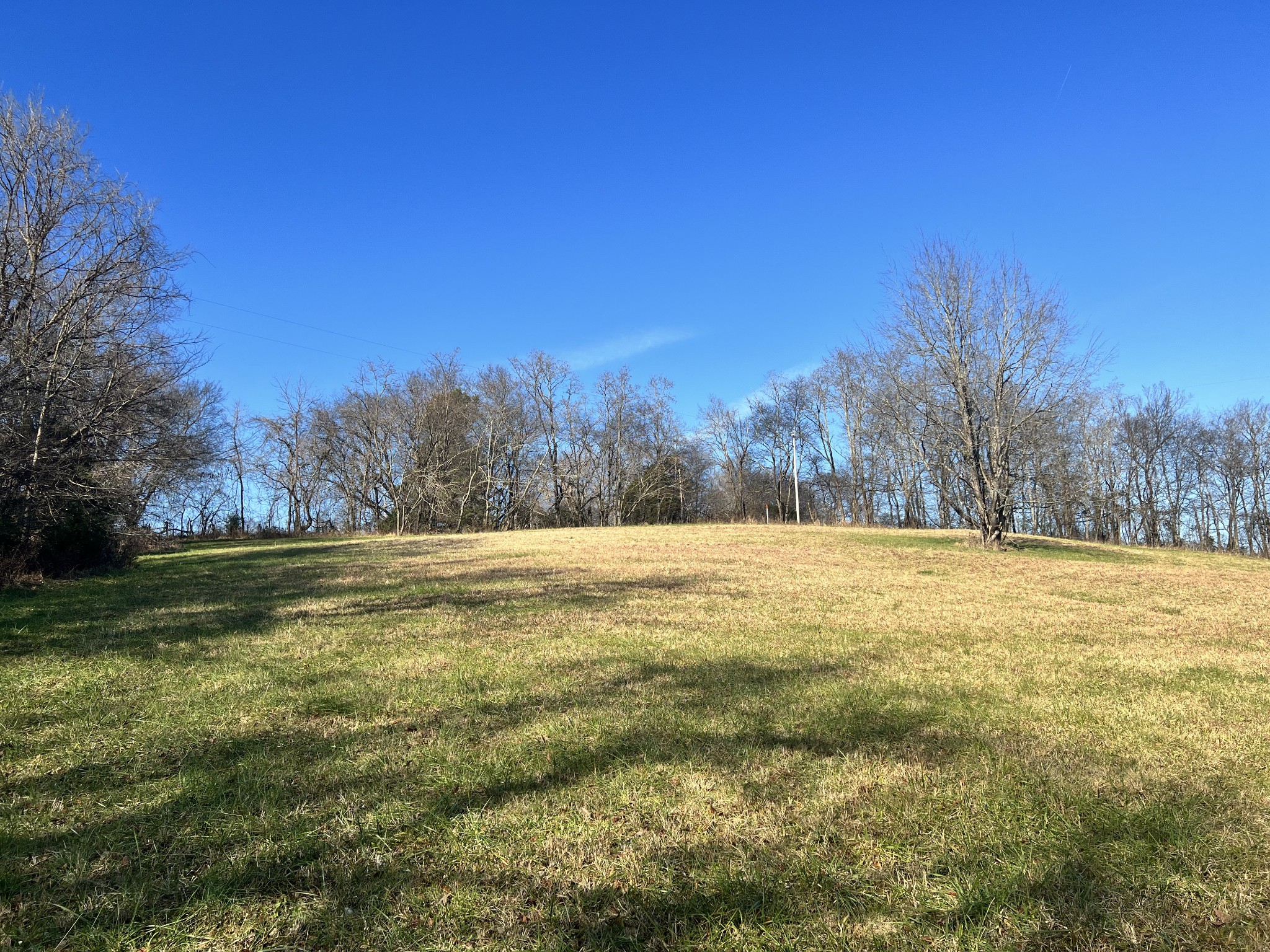 0 Blackburn Lane Spring Hill, TN 37174 - Photo 4 of 10