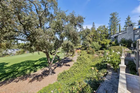a view of a garden with plants and trees