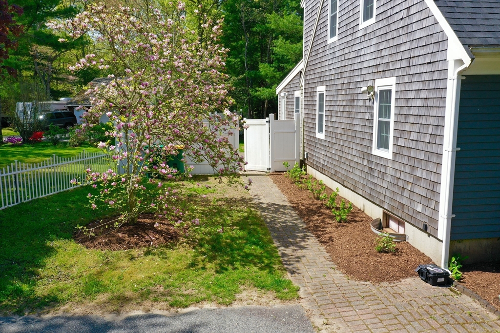155 Great Marsh Road Centerville, MA 02632 - Photo 3 of 36 a view of a backyard with plants and large tree