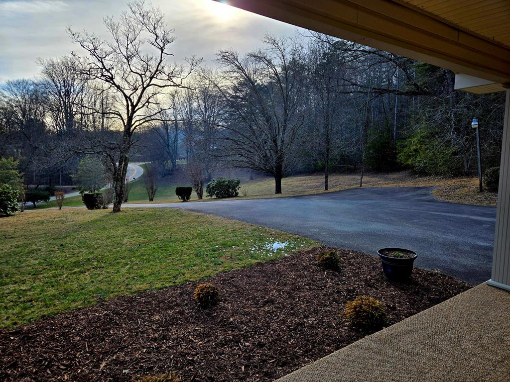 6656 Fires Creek Road Hayesville, NC 28904 - Photo 25 of 38 a view of a backyard with large trees