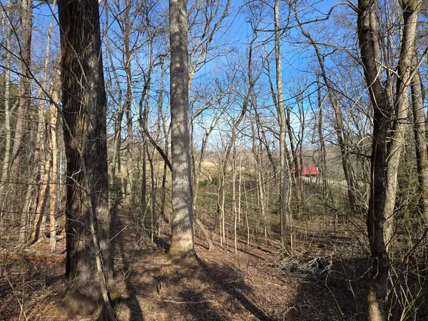 $359,900 | 6656 Fires Creek Road, Hayesville, NC 28904