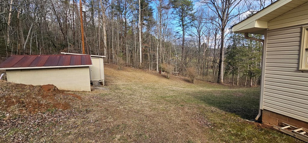 6656 Fires Creek Road Hayesville, NC 28904 - Photo 5 of 38 a backyard of a house with lots of green space