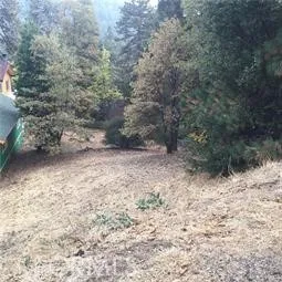$20,000 | 23795 Zuger Drive, Crestline, CA 92325