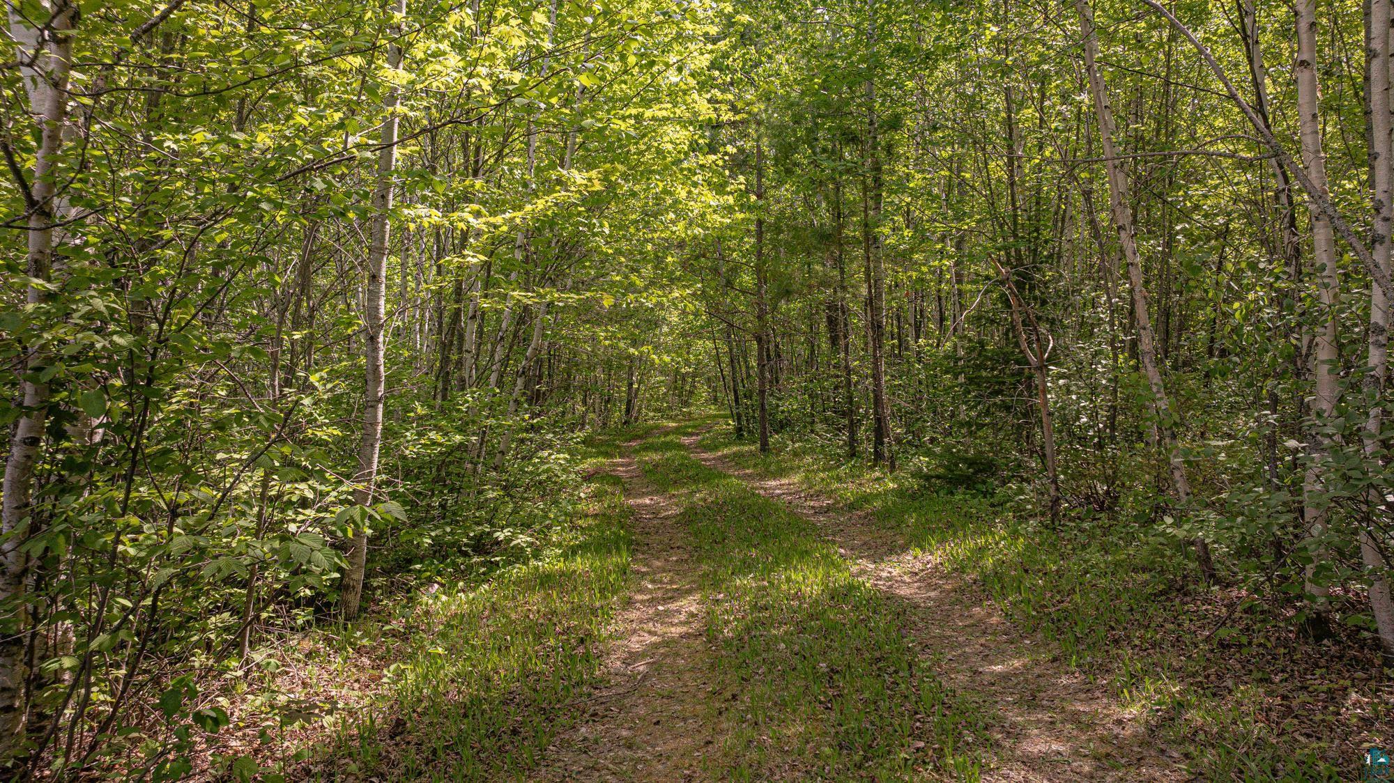 Tbd Tbd Muckwa Lake Road Babbitt, MN 55706 - Photo 53 of 54