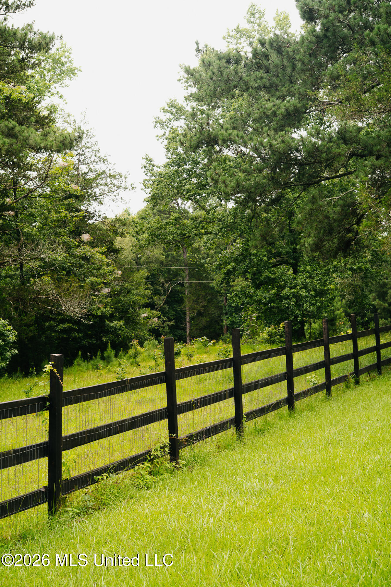 2139 Warren Hood Road Hermanville, MS 39086 - Photo 92 of 115 Front Pasture