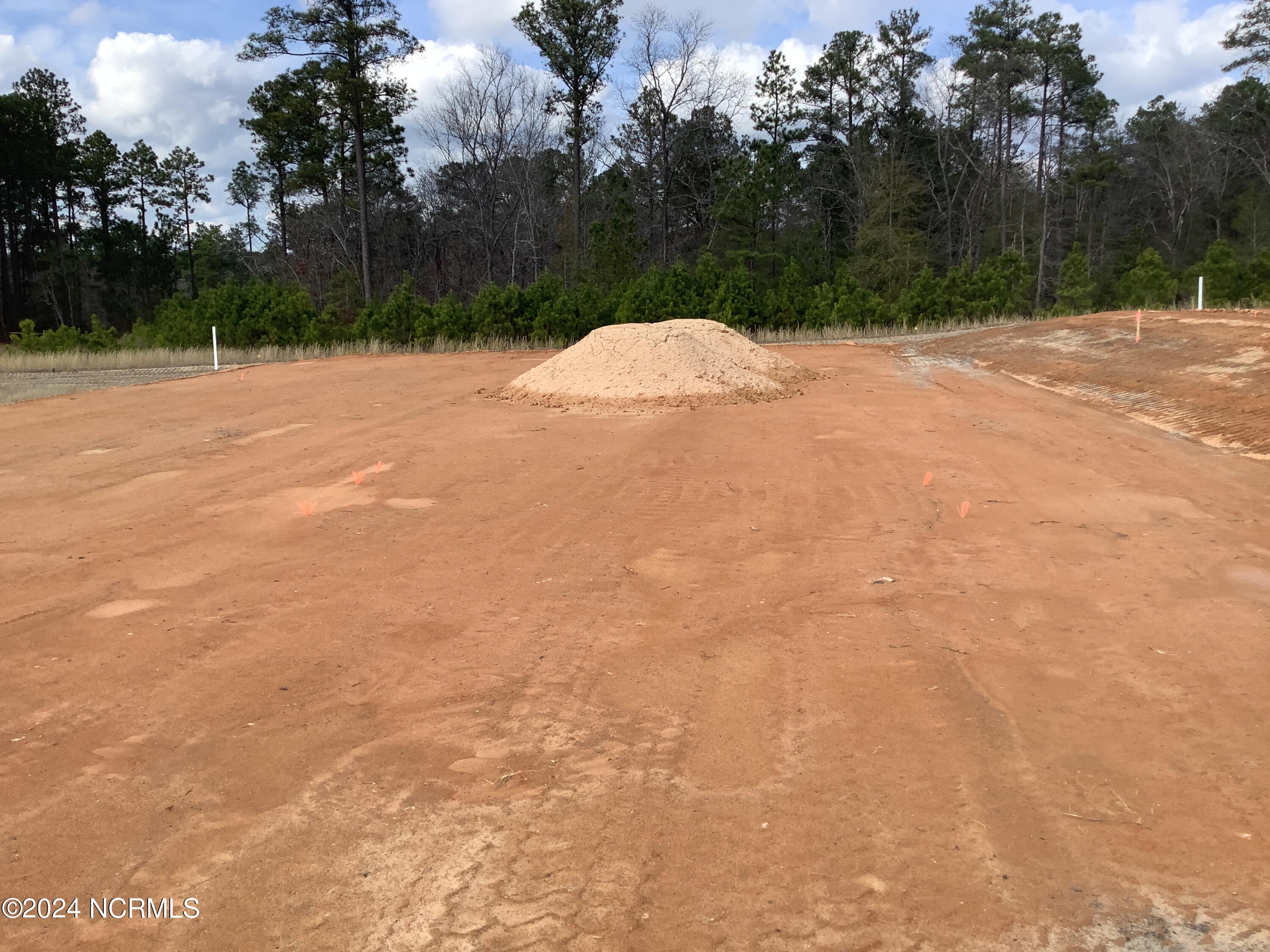 189 Rough Rdg Trail, Unit 10 Aberdeen, NC 28315 - Photo 68 of 69 Photo Taken 3/1/2024