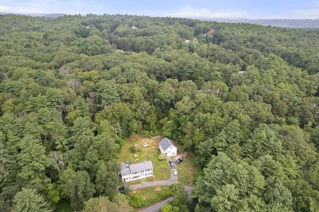 a view of a forest with a street