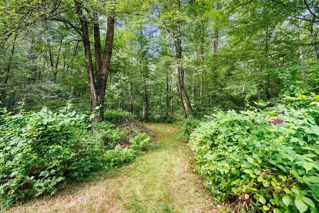 a view of backyard with green space