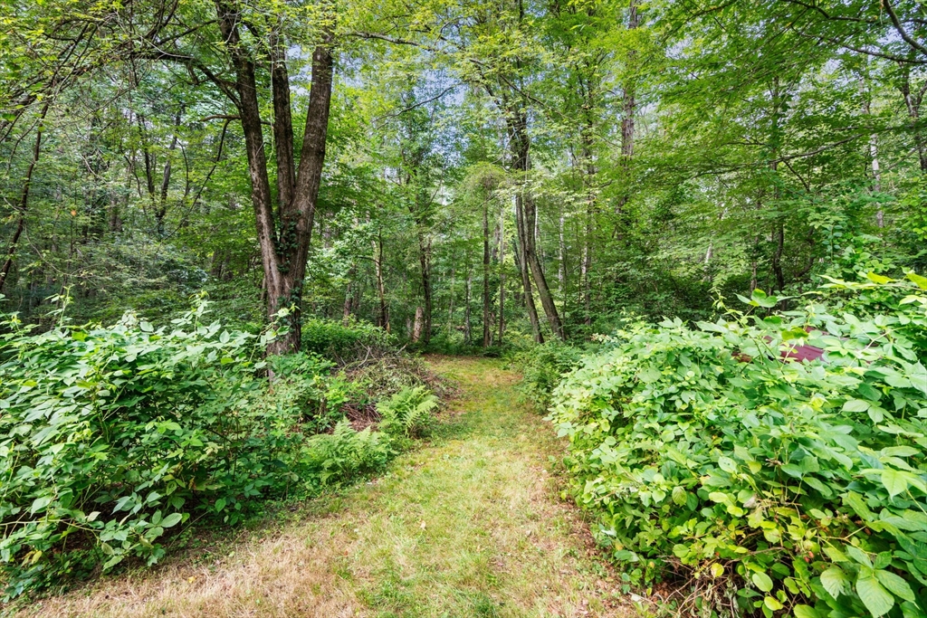 68 Spring Street Hopkinton, MA 01748 - Photo 21 of 28 a view of a forest with trees