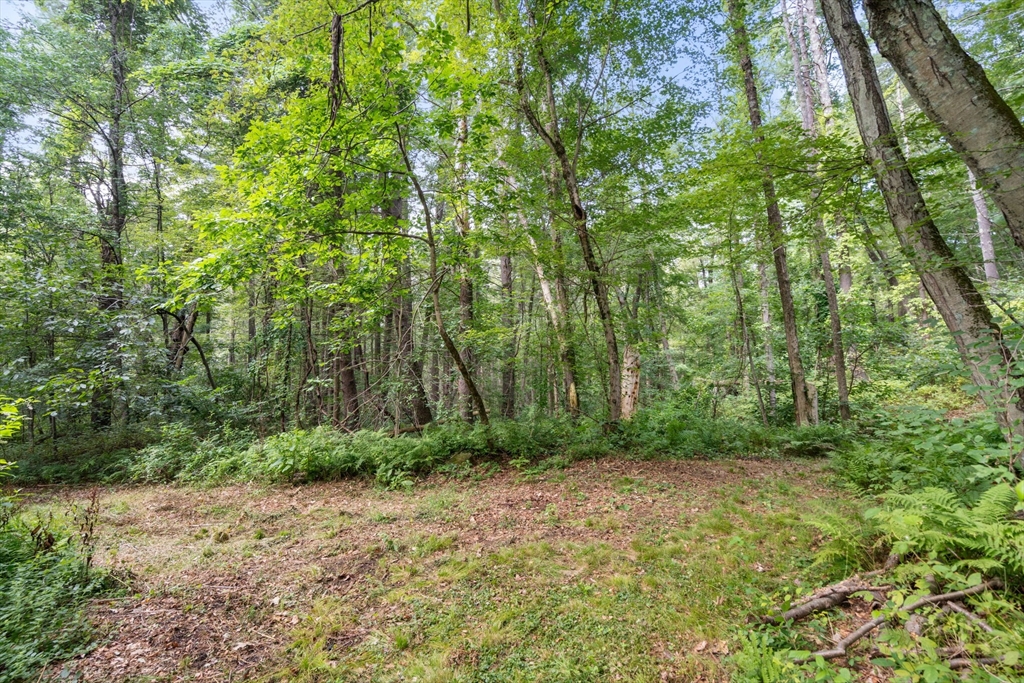 68 Spring Street Hopkinton, MA 01748 - Photo 23 of 28 a view of backyard with green space
