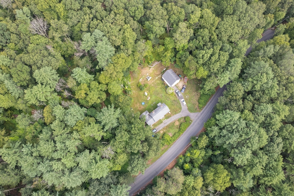 68 Spring Street Hopkinton, MA 01748 - Photo 8 of 28 a close up of a tree in a garden