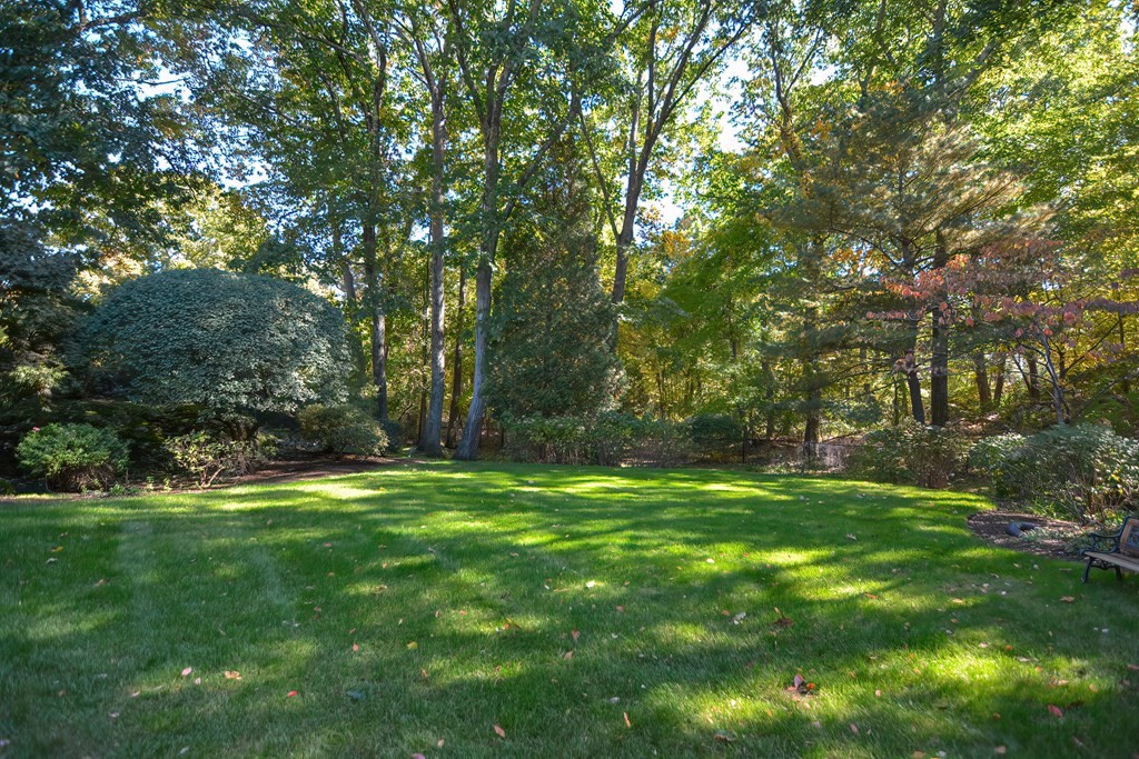 233 Stratford Road Needham, MA 02492 - Photo 24 of 28 a backyard of a house with lots of green space