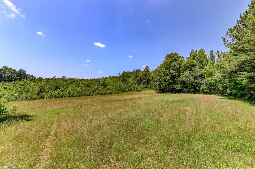 521 Benton Road Reidsville, NC 27320 - Photo 8 of 38