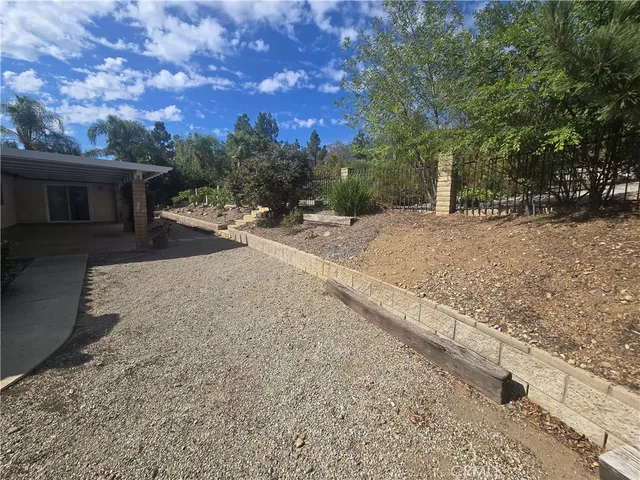 a view of a yard with potted plants and large trees
