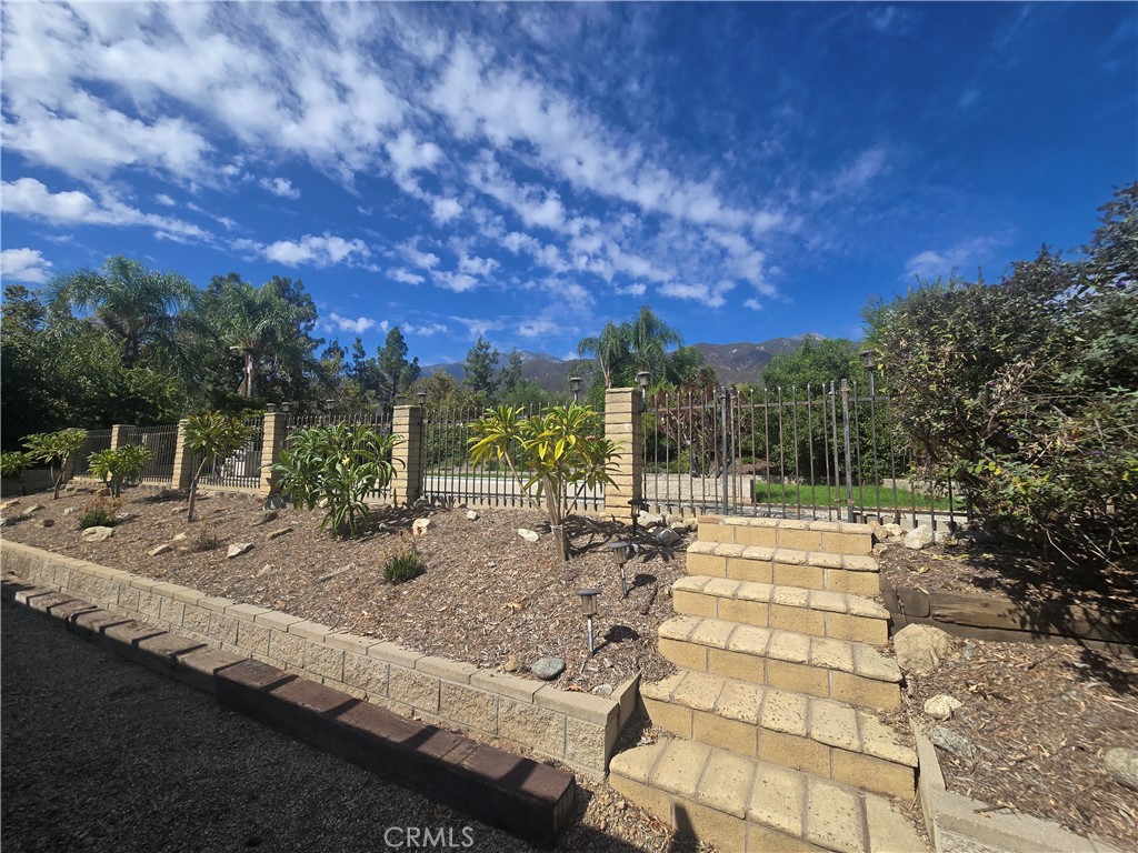 9388 Valley View Street Rancho Cucamonga, CA 91737 - Photo 38 of 40 a view of a yard with plants and a fountain