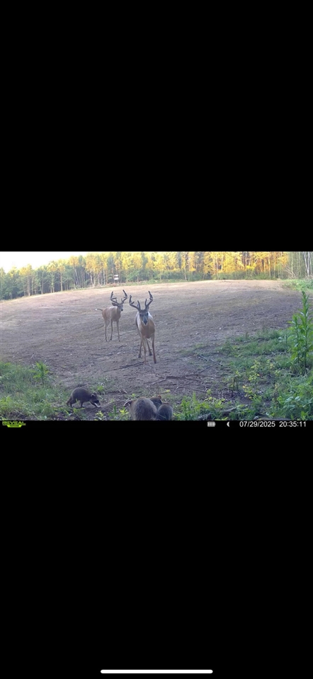 13980 12 12 Mile Road Rodney, MI 49342 - Photo 65 of 98