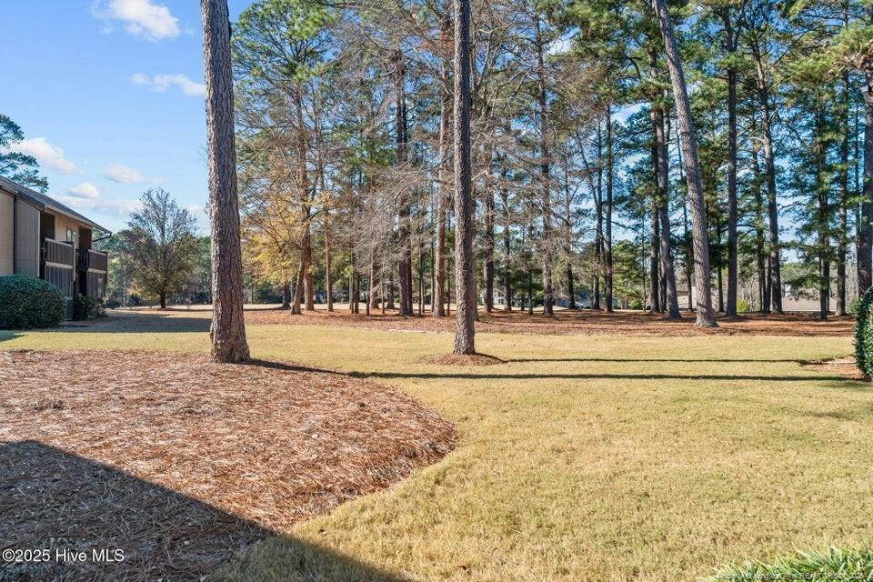 10 Pine Tree Road, Unit 211 Lakeview, NC 28350 - Photo 32 of 36 a view of swimming pool with trees