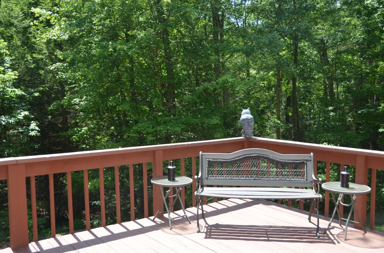 178 Spring Hill Road Wellington, KY 40387 - Photo 5 of 35 Photo 5