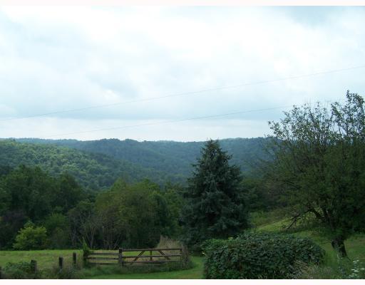 464 Green Valley Road Wind Ridge, PA 15380 - Photo 6 of 6 View.