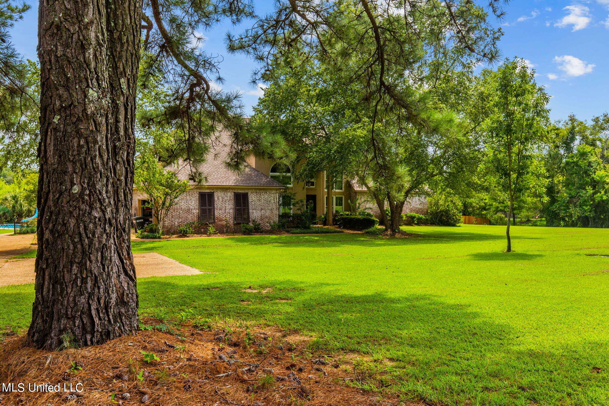 568 Holly Bush Road Brandon, MS 39047 - Photo 72 of 74 4-web-or-mls-568 Holly Bush-1