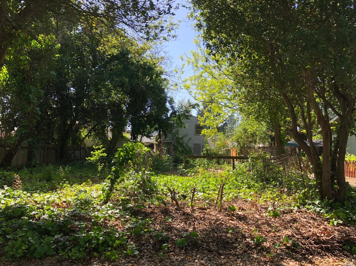 1015 Orchard Street Santa Rosa, CA 95404 - Photo 1 of 1 Gallery Image 1