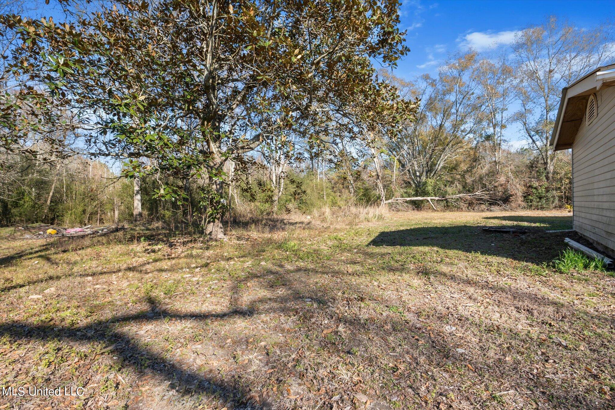 147 Rayner Road Moselle, MS 39459 - Photo 30 of 34 30-STA09932
