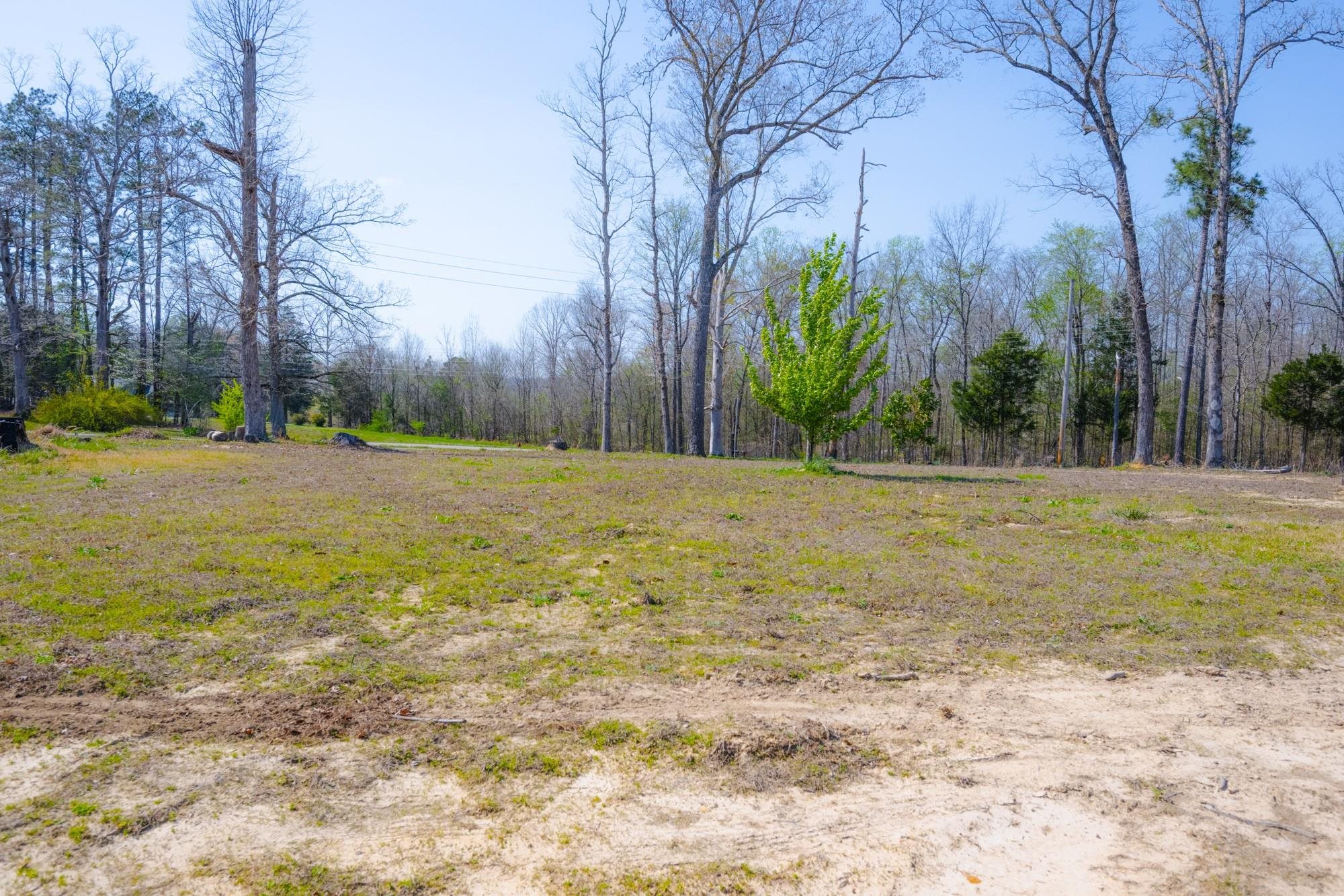 1705 100th Highway West Decaturville, TN 38329 - Photo 21 of 27 a backyard of a house with palm trees