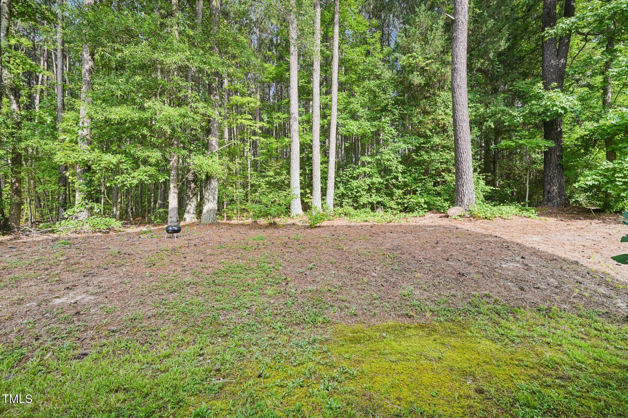 700 Quail Court Creedmoor, NC 27522 - Photo 37 of 40 38-web-or-mls-Quail Ct-S1507-038