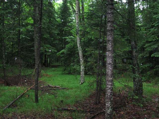 3410 Limber Lost Road Rhinelander, WI 54501 - Photo 6 of 20 Gallery Image 6