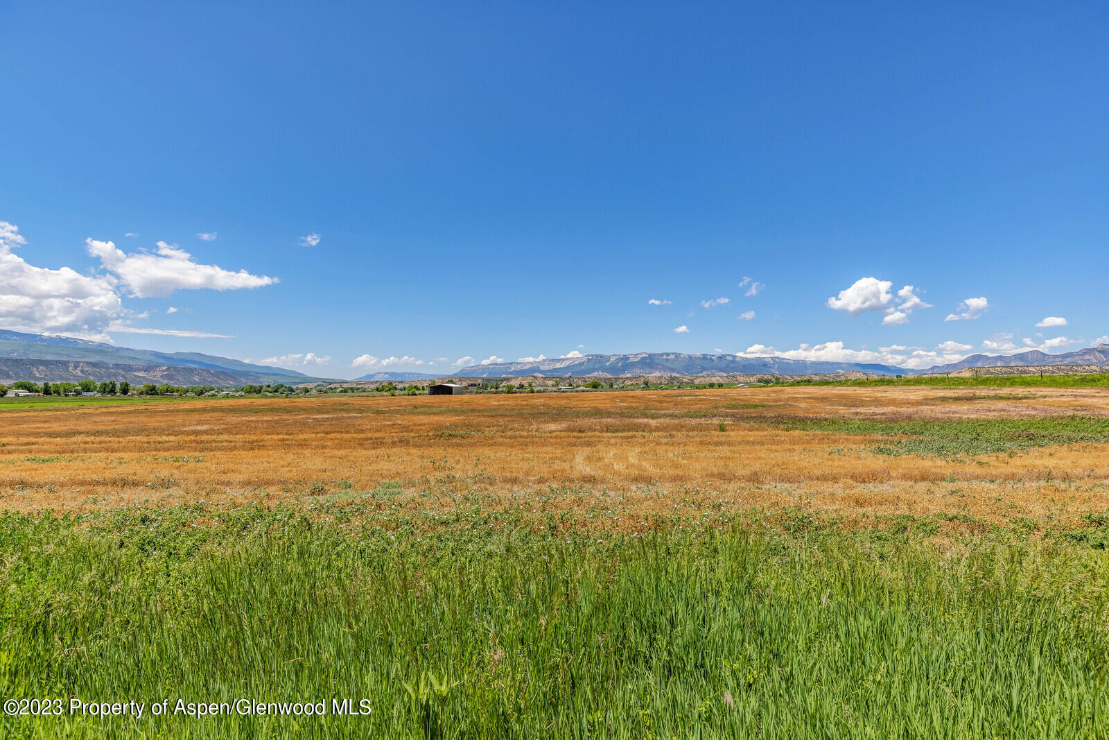 751 Miller Lane Rifle, CO 81650 - Photo 5 of 24 03_751_Miller_Lane003_mls