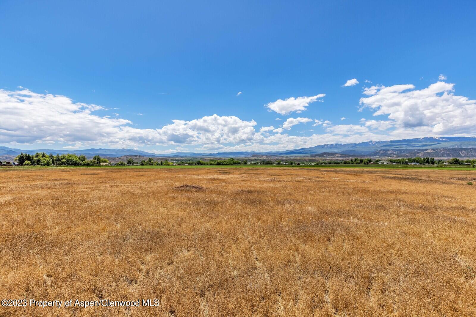 751 Miller Lane Rifle, CO 81650 - Photo 8 of 24 05_751_Miller_Lane005_mls