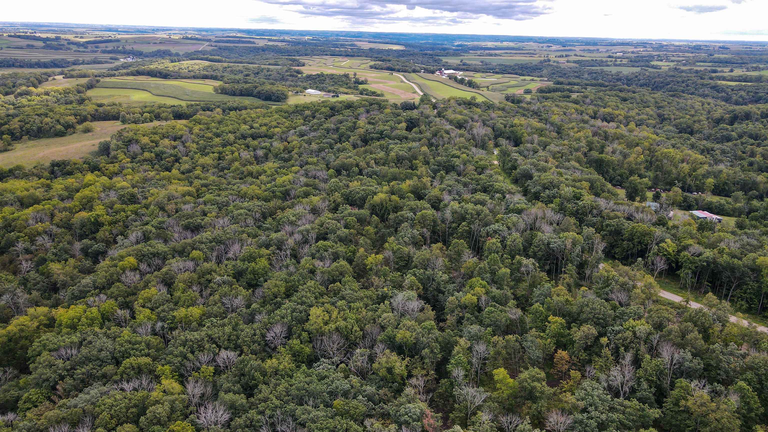2222 County Road Y Mineral Point, WI 53565 - Photo 12 of 13