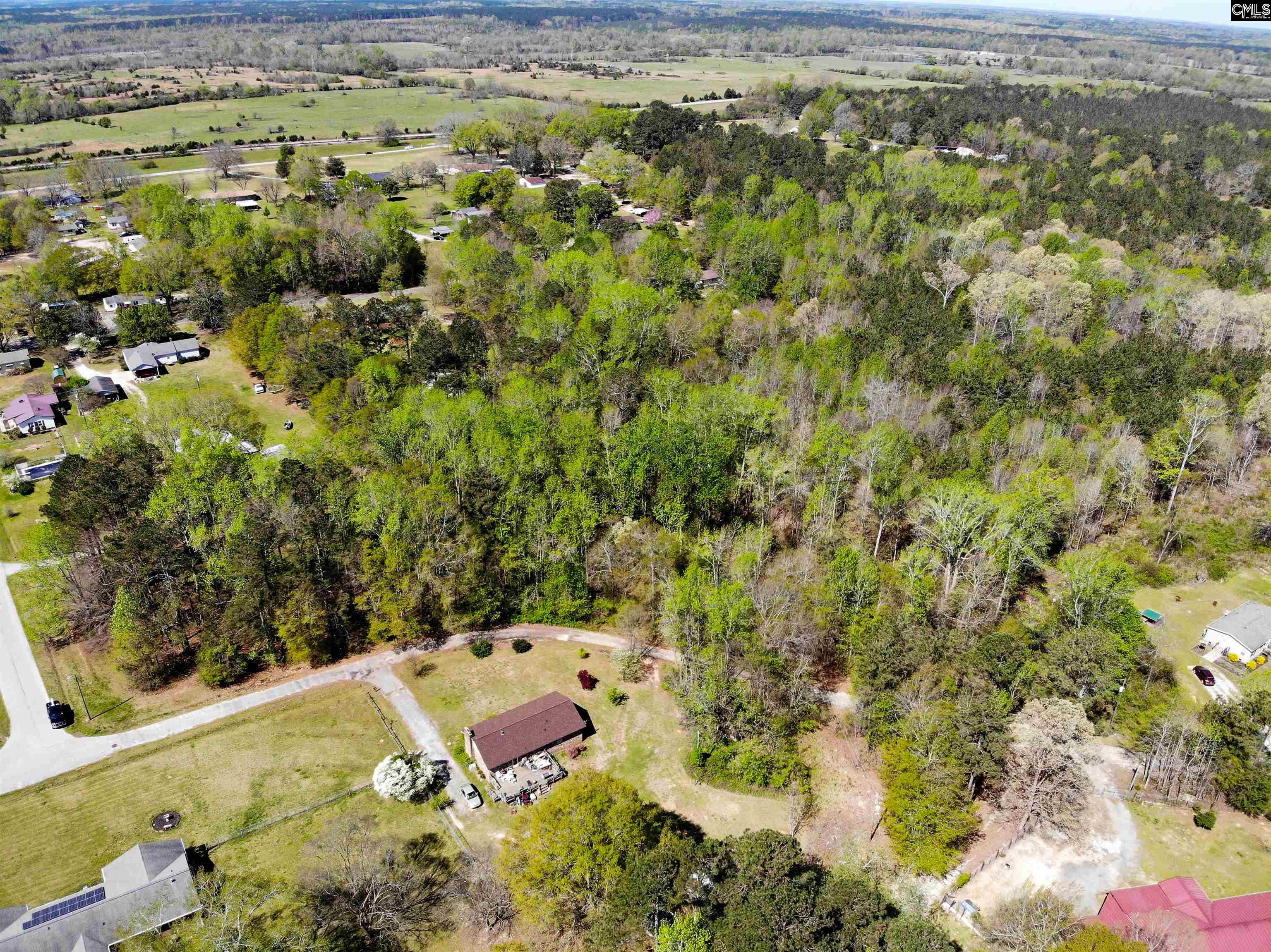 Tbd James Road Joanna, SC 29351 - Photo 74 of 82
