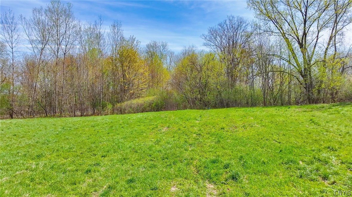 6780-6762 Fly Road De Witt, NY 13057 - Photo 13 of 13