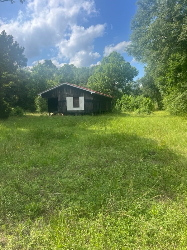 0 Broze Road Humble, TX 77338 - Photo 12 of 25 a view of a big yard with plants and large trees
