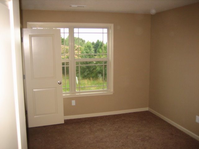 125 Tiara Ridge Lane Lyman, SC 29334 - Photo 12 of 13 Gallery Image 12