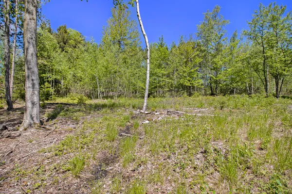 $55,000 | Lot 35-36 North Pine Ridge Drive, Ludington, MI 49431