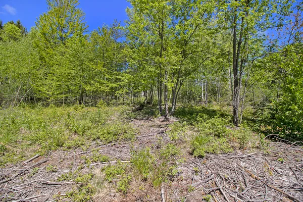 $55,000 | Lot 35-36 North Pine Ridge Drive, Ludington, MI 49431