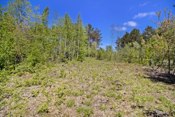 $55,000 | Lot 35-36 North Pine Ridge Drive, Ludington, MI 49431