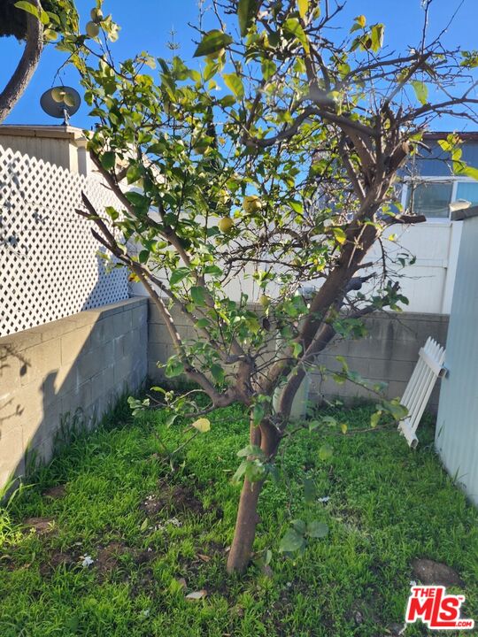17700 South Avalon Boulevard, Unit 221 Carson, CA 90746 - Photo 14 of 14 a backyard of a house with lots of green space