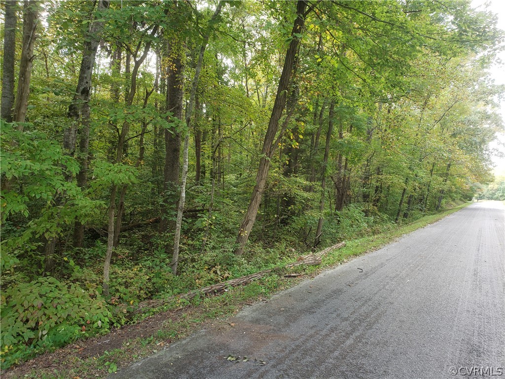 3897 Riddles Bridge Road Goochland, VA 23063 - Photo 11 of 13 Gallery Image 11